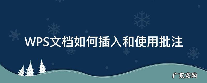 WPS文档如何插入和使用批注 wps中如何添加批注