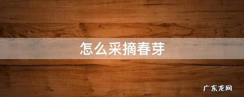 怎么采摘春芽 摘果神器