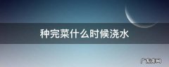 种菜啥时候浇水 种完菜什么时候浇水