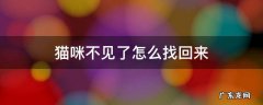 农村猫咪不见了怎么找回来 猫咪不见了怎么找回来