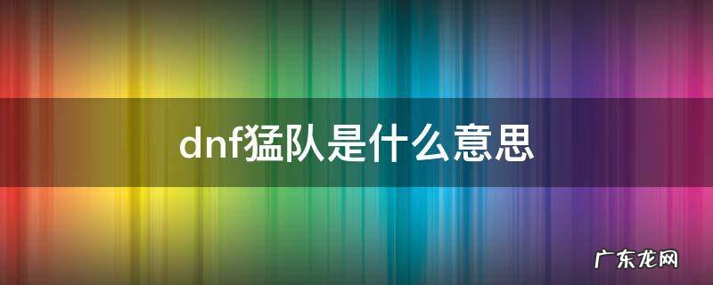 Dnf猛队 dnf猛队是什么意思