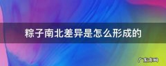 粽子南北差异是怎么形成的 南北方的粽子有什么不一样