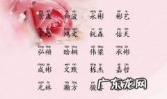 起个好听的网名 用彤字起个好听的网名