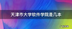 天津市大学软件学院是几本 天津大学软件工程学院是几本