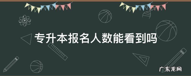 专升本报名人数能看到吗 专升本报名结束能看到报名人数吗
