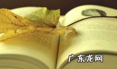 岁月失语 惟石能言 岁月失语