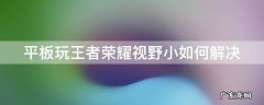 平板玩王者荣耀视野小如何解决 平板玩王者荣耀视野太大怎么办