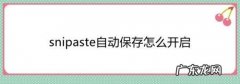 Snipaste怎么截图并保存到电脑中