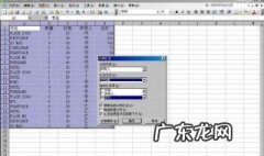 excel分类汇总怎么用 excel分类汇总怎么用性别分类