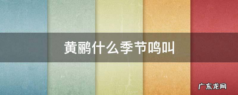 黄鹂什么季节鸣叫 黄鹂啼叫是什么季节