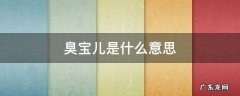 臭宝是啥意思呀 臭宝儿是什么意思