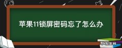 苹果11锁屏密码忘了怎么办 手机还没锁屏 苹果11锁屏密码忘了怎么办