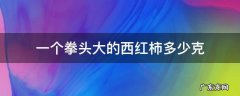 一个拳头大的西红柿多少克 西红柿一个有多少克