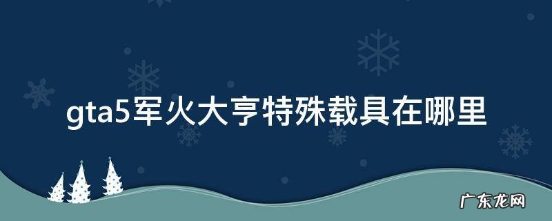 gta5线下军火大亨特殊载具在哪里 gta5军火大亨特殊载具在哪里