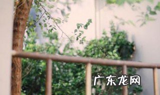 山不在高有仙则灵原文 山不在高有仙则灵下一句是什么作者是谁