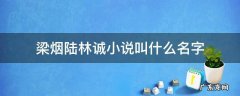梁烟陆林诚小说叫什么名字 梁烟陆林诚小说在线读