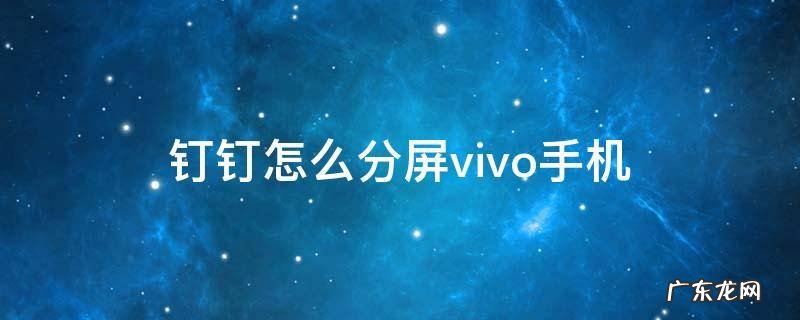 vivo手机钉钉分屏功能在哪里 钉钉怎么分屏vivo手机