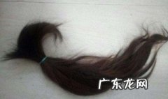 吃什么长头发快 吃什么长头发快最有效