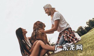 遇见爱情是什么感觉 爱情是什么感觉