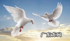 世界名画和平鸽的创作者是谁 和平鸽的创作者是谁