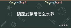 碗莲发芽后怎么水养 碗莲发芽后还要每天换水吗