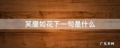 笑靥如花下一句是什么意思 笑靥如花下一句是什么