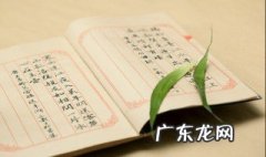 什么是随笔 它有哪些特点 什么是随笔