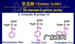 氨基酸的种类 氨基酸的种类数目排列顺序不同