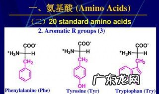 氨基酸的种类 氨基酸的种类数目排列顺序不同