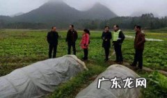 家庭加工项目有哪些 家庭加工项目