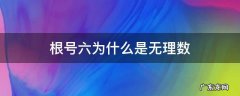 根号六为什么是无理数 根号2是有理数还是无理数