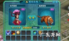 化生寺怎么加点? 化生寺加点怎么做