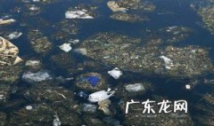 水污染的原因和危害都有哪些 水污染的原因