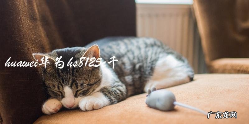 你知道华为HS8125C千兆光猫的优势和功能吗?