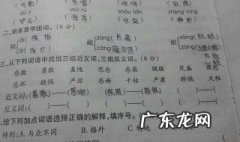 严格的反义词是什么 标准答案 严格的反义词是什么