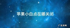 苹果小白点在哪关闭 iphone的小白点怎么关闭