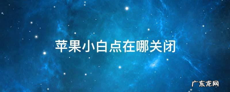 苹果小白点在哪关闭 iphone的小白点怎么关闭