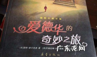 爱德华的奇妙之旅主要讲什么内容 爱德华的奇妙之旅主要讲什么