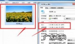 调整图片大小的方法 调整图片大小的方法有哪两种