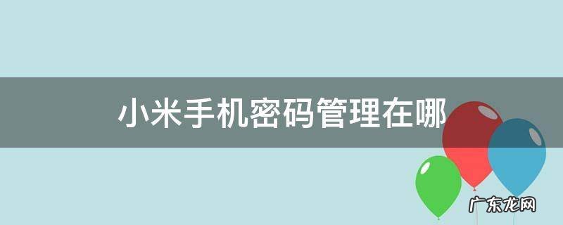 小米手机密码智能管理在哪里 小米手机密码管理在哪