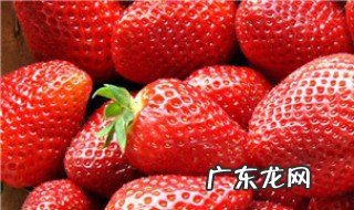清除自由基采用的方法 清除自由基有什么方法