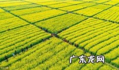 农业生产类型有哪些 农业生产类型有哪些初中地理