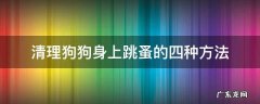 清理狗狗身上跳蚤的四种方法 狗狗身上的跳蚤怎么去除简单方法