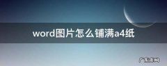 word文档图片怎么铺满a4纸 word图片怎么铺满a4纸