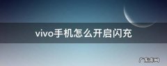 vivo手机怎么开启闪充 Vivo手机怎么开启闪充模式