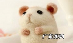 羊毛毡教程