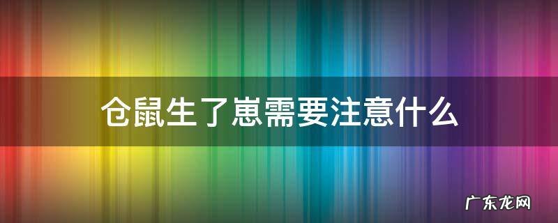 仓鼠生了崽需要注意什么 仓鼠生崽要准备什么