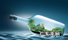 净化室内空气的植物排名 净化室内空气