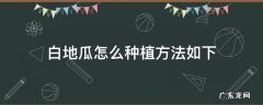 白地瓜怎么种植方法如下 白地瓜的种植方法与管理方法是什么