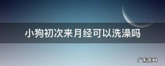 小狗来了例假可以洗澡吗 小狗初次来月经可以洗澡吗